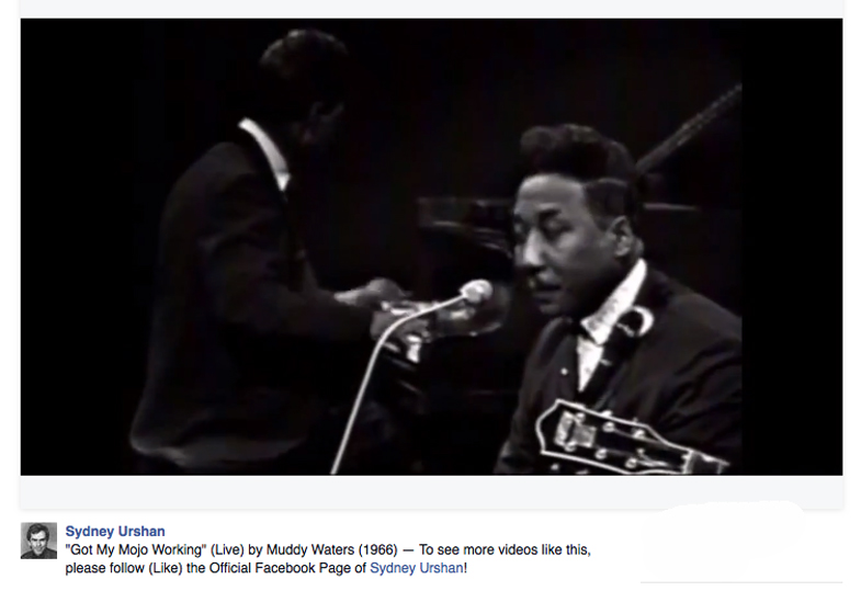 MudyWaters1966"MojoWorking".jpg