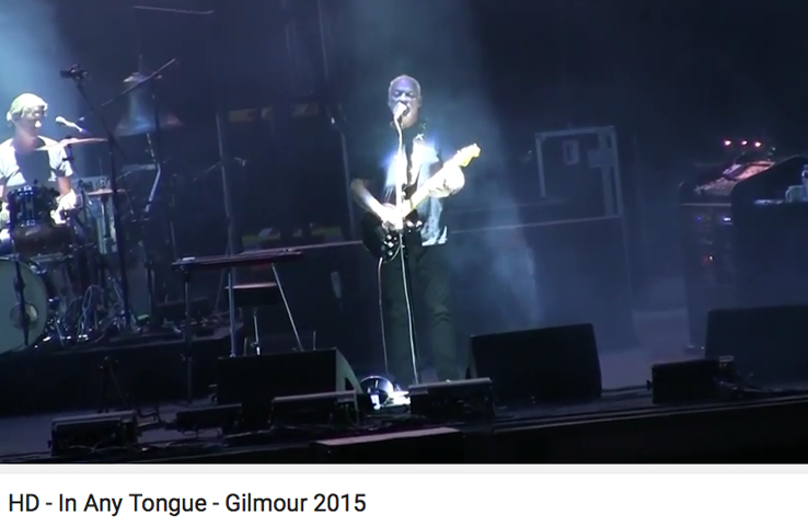 DG_2015Verona"InAnyTongue".jpg