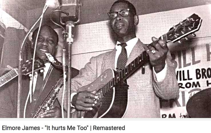 ElmoreJamesItHurtsMeToo.jpg