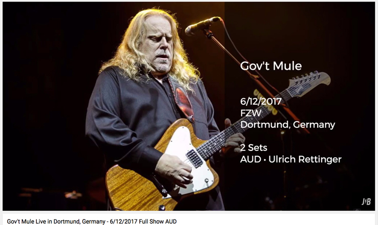 Gov't Mule Dortmund 2017-06-12.jpg