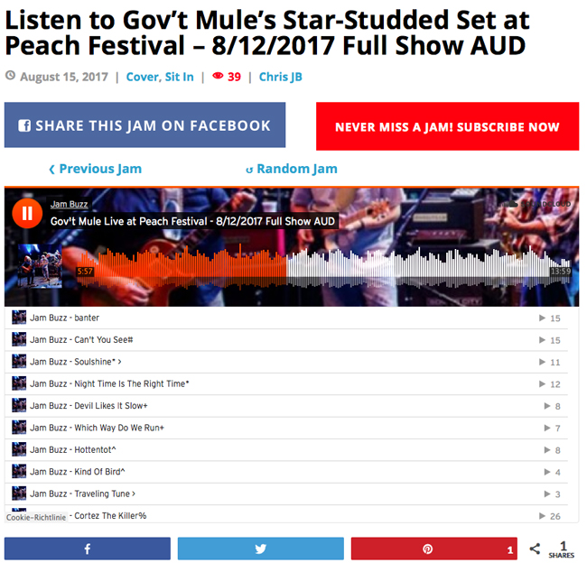 Gov't Mule 2017-08-12PeachFest.jpg