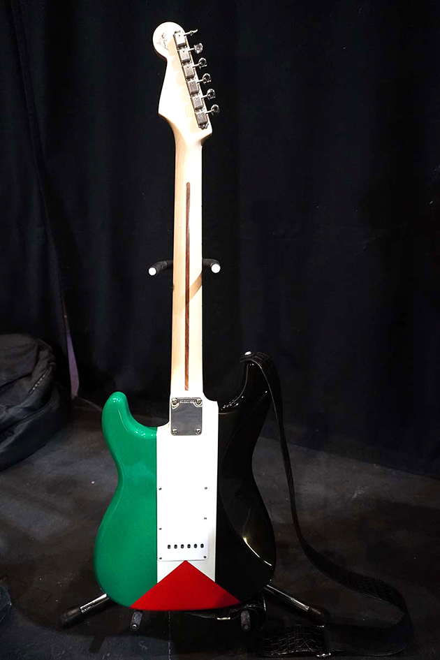 EC_Fender Back.jpg