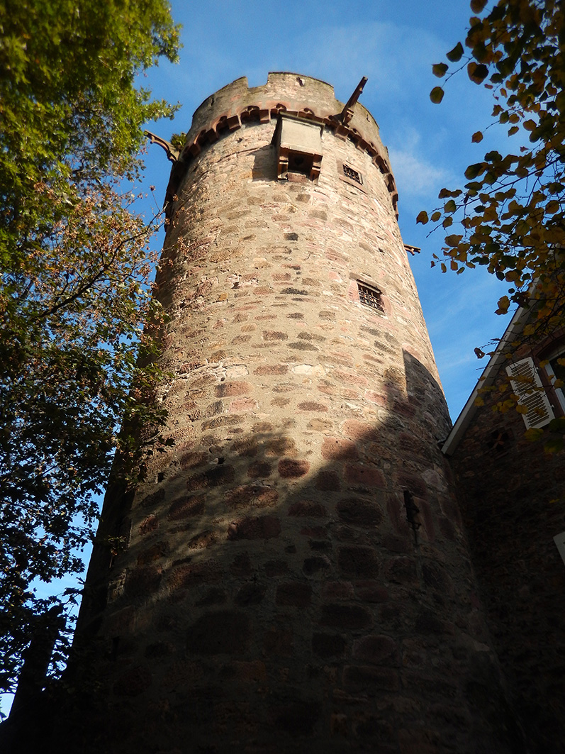 Weinheim6.jpg