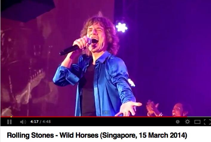RS_2014SingaporeWildHorses.jpg